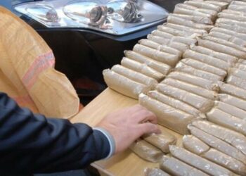 حجز أكثر من 4 أطنان من مخدر الحشيش في عملية أمنية على مستوى الطريق السيار بوزنيقة المحمدية
