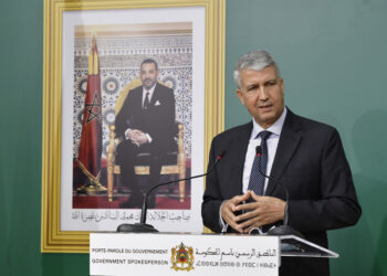 محمد صديقي: الفلاحة حاضرة بقوة في التعاون المغربي الإفريقي