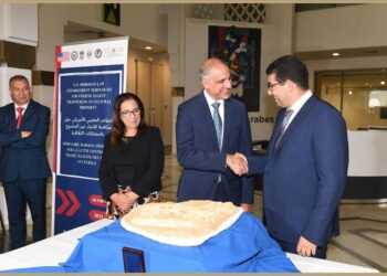 المغرب يستعيد 3 حفريات أثرية يعود تاريخها لأكثر من 250 مليون سنة