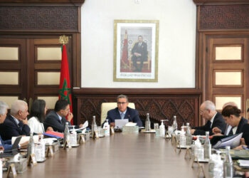 نظام الدعم الاجتماعي المباشر على طاولة مجلس الحكومة