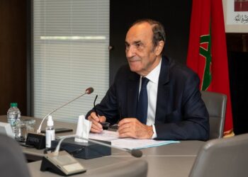 السيد المالكي يعقد جلسة عمل مع رئيسة المجلس الوطني للتربية بهولندا