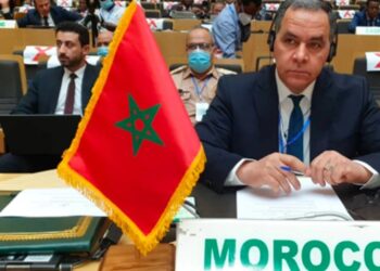 المغرب يدعو إلى جهود السلام والتنمية بالنيجر والغابون