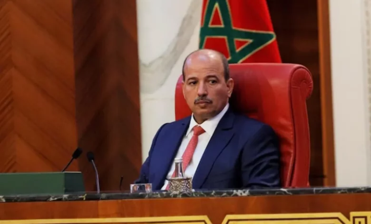 السيد ميارة يؤكد على أهمية البعد البرلماني في تطوير العلاقات المغربية البريطانية