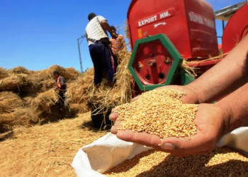 مراكش تحتضن مؤتمر ومعرض الأمن الغذائي العربي يومي 2 و3 أكتوبر الجاري