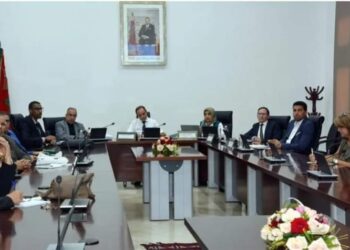 المعهد الملكي للثقافة الامازيغية يناقش تجربة المؤسسات العمومية في مجال الترجمة إلى الأمازيغية
