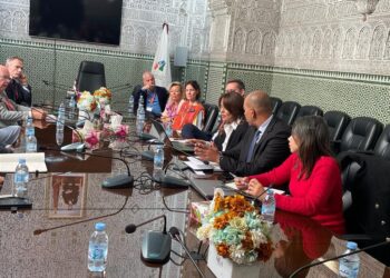 أسماء بلقزيز تعقد لقاء عمل مع وفد بلجيكي يمثل جهة فلاندر
