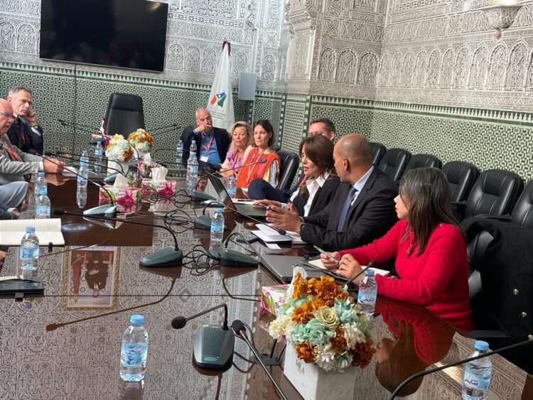 أسماء بلقزيز تعقد لقاء عمل مع وفد بلجيكي يمثل جهة فلاندر