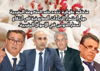 منظمة حقوقية تندد باستمرار الزيادات الصاروخية في ارتفاع أسعار الدواجن في الأسواق المغربية