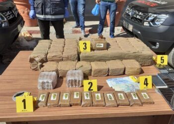 ميناء طنجة المتوسط .. إحباط محاولة تهريب طن و430 كيلوغرام من مخدر الشيرا