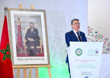 افتتاح أشغال حفل الإطلاق الرسمي للخطة العربية للتربية والتثقيف في مجال حقوق الإنسان