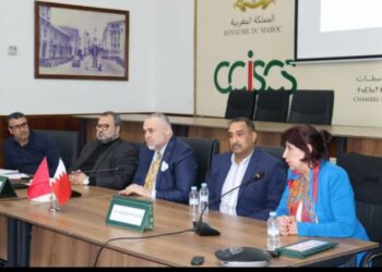 متابعة فعاليات الدورة التكوينية المنظمة حول تكوين مستشارين في مجال ريادة الأعمال