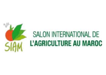 الدورة الـ16 للملتقى الدولي للفلاحة بالمغرب تراهن على استقبال أزيد من 930 ألف زائر