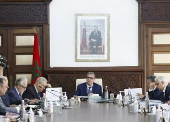 نظام الضمان الاجتماعي على طاولة مجلس الحكومة الخميس المقبل