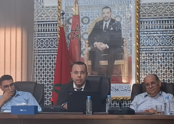 بوهدوز يكتب : البام الذي نريد