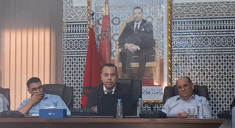 بوهدوز يكتب : البام الذي نريد